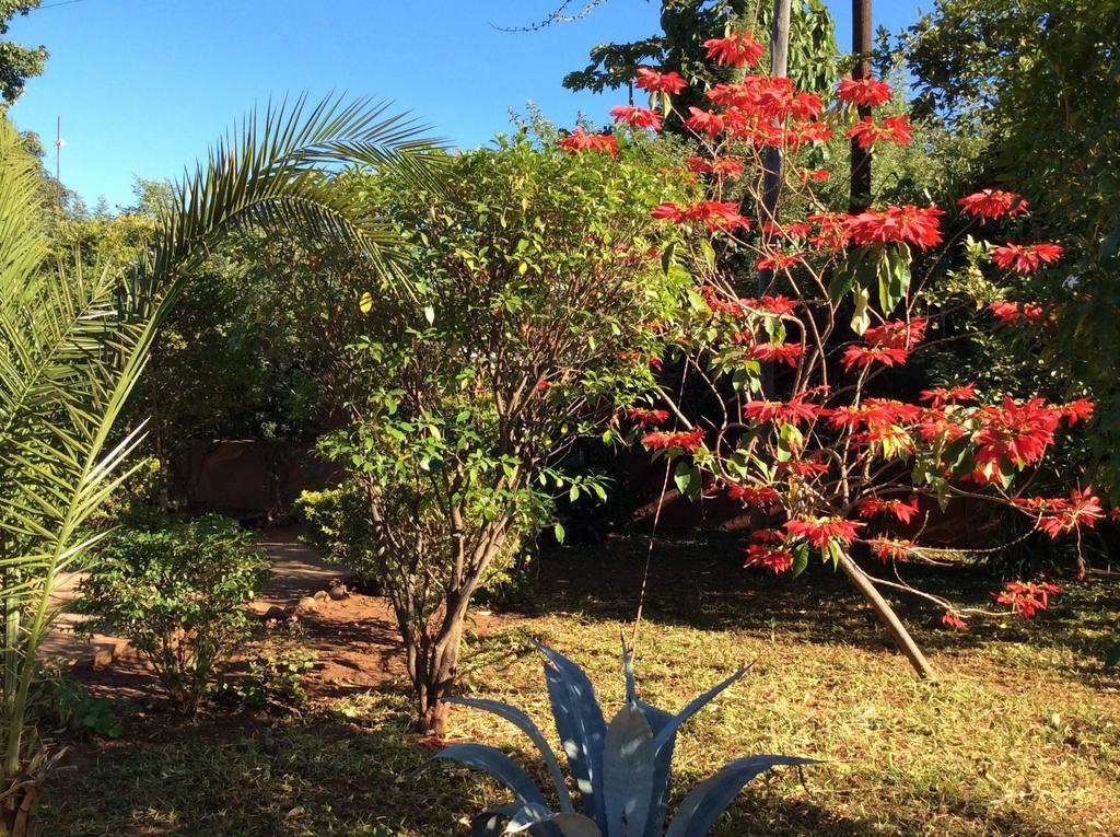 Tabonina Guesthouse Livingstone Luaran gambar