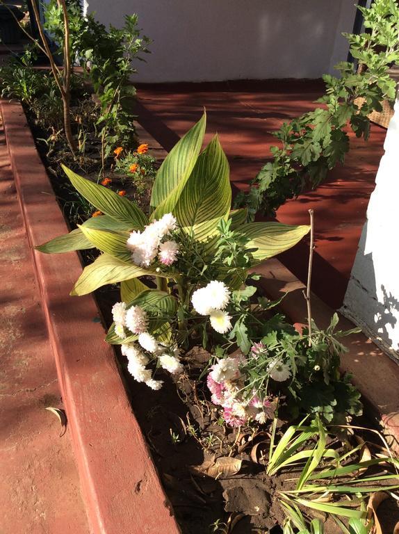 Tabonina Guesthouse Livingstone Luaran gambar